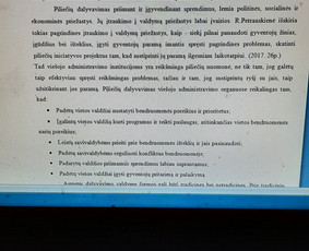 Profesionali pagalba rengiant rašto darbus / Dana / Darbų pavyzdys ID 2625368