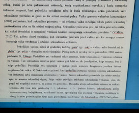 Profesionali pagalba rengiant rašto darbus / Dana / Darbų pavyzdys ID 2625372