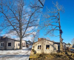 Medžių pjovimas-genėjimas/gyvatvorių karpymas / MB Medžio Kvapas / Darbų pavyzdys ID 2626168