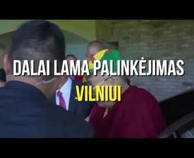 Profesionalios video kūrimo paslaugos verslui / Mosskuss films / Darbų pavyzdys ID 465843