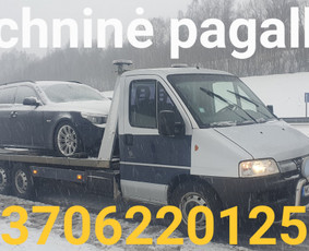 Tralas fiskaras traliukas Tech pagalba kelyje / Aivatrans / Darbų pavyzdys ID 2627614