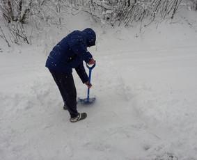 Buitinės paslaugos - Buities darbai/smulkūs buities darbai - 1