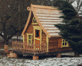 Aplinkos tvarkymas - Vejos aeravimas - 3 Vejos aeravimas - Aplinkos tvarkymas - 3