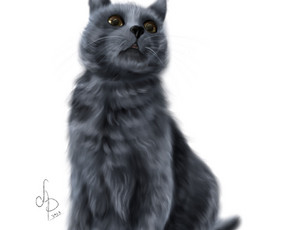 Iliustratorė - karikatūros, portretai, knygų iliustravimas / Arina Procenko / Darbų pavyzdys ID 2630464