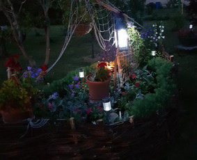 Dovile Puzneckiene Floristika. Puošyba jūsų šventei. / Dovilė Puzneckienė / Darbų pavyzdys ID 466749