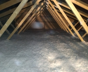 Šiltinimas biria Eko vata / Termamax / Darbų pavyzdys ID 2634656