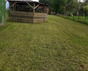 Visi griovimo-kasimo,išvežimo darbai / Tomas / Darbų pavyzdys ID 2635640