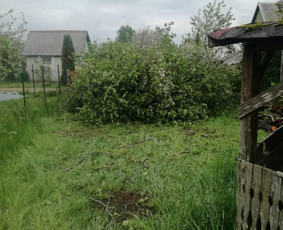 Visi griovimo-kasimo,išvežimo darbai / Tomas / Darbų pavyzdys ID 2635644