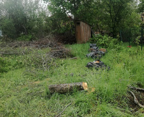 Visi griovimo-kasimo,išvežimo darbai / Tomas / Darbų pavyzdys ID 2635646