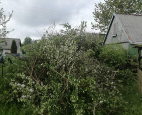 Visi griovimo-kasimo,išvežimo darbai / Tomas / Darbų pavyzdys ID 2635648