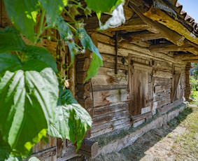 NT brokeris Vilniuje. Butų, namų, sklypų, miškų pardavimai / Eugenius Zacharevič / Darbų pavyzdys ID 2645525