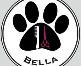 Šunų kirpykla Bella / Šunų kirpykla Bella / Darbų pavyzdys ID 2646913