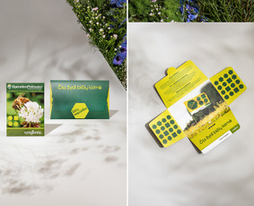 Mados, reklamos, produktų fotografija / Rasa Nebasa / Darbų pavyzdys ID 2651935