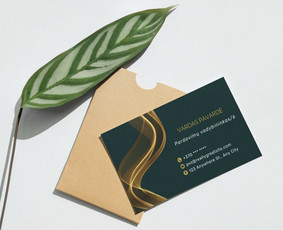 Logotipo kūrimas / Įmonės įvaizdis / branding - Internetas, IT - 1 Internetas, IT - Logotipo kūrimas / Įmonės įvaizdis / branding - 1