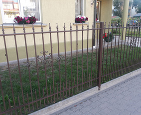 Tvoros, vartai, garažo vartai, miltelinis dažymas / UAB Pajūrio tvoros / Darbų pavyzdys ID 2654019