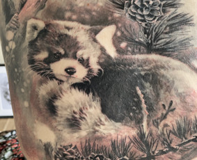 Realistinės tatuiruotės ir tattoo / Evaldas Nariunas / Darbų pavyzdys ID 2656751