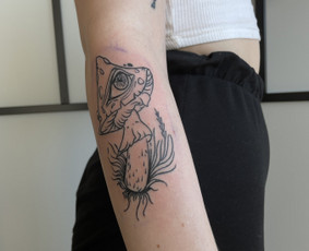 Realistinės tatuiruotės ir tattoo / Evaldas Nariunas / Darbų pavyzdys ID 2656755