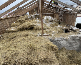 Griovimo darbai, šiukšliu išvežimas! / Domantas / Darbų pavyzdys ID 2657329