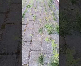 Stogų, trinkelių, fasadų plovimas, dažymas / MB / Darbų pavyzdys ID 2661905