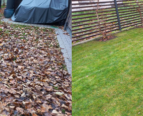 Aplinkos apželdinimas, tvarkymas, gerbūvio darbai. / Žaliasis spektras / Darbų pavyzdys ID 2662049