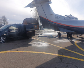 Mikroautobuso Mercedes nuoma su vairuotoju, keleivių vežimas / Gintaras / Darbų pavyzdys ID 2662603