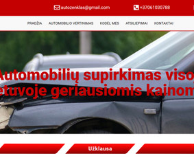 Interneto svetainių kūrimas, El. parduotuvių kūrimas / Jonas / Darbų pavyzdys ID 2665695