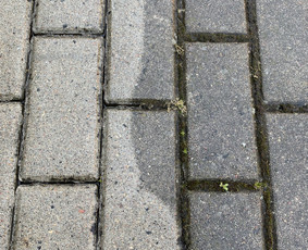 Trinkelių, fasadų, stogų ir kitų kiemo paviršių valymas / MB “Inrija” / Darbų pavyzdys ID 2667227