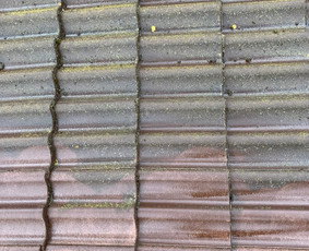 Trinkelių, fasadų, stogų ir kitų kiemo paviršių valymas / MB “Inrija” / Darbų pavyzdys ID 2667341