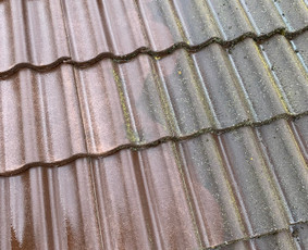 Trinkelių, fasadų, stogų ir kitų kiemo paviršių valymas - Stogų valymas ir priežiūra - 4 Stogų valymas ir priežiūra - Trinkelių, fasadų, stogų ir kitų kiemo paviršių valymas - 4