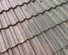 Trinkelių, fasadų, stogų ir kitų kiemo paviršių valymas - Stogų valymas ir priežiūra - 3 Stogų valymas ir priežiūra - Trinkelių, fasadų, stogų ir kitų kiemo paviršių valymas - 3