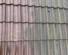 Trinkelių, fasadų, stogų ir kitų kiemo paviršių valymas - Stogų valymas ir priežiūra - 2 Stogų valymas ir priežiūra - Trinkelių, fasadų, stogų ir kitų kiemo paviršių valymas - 2