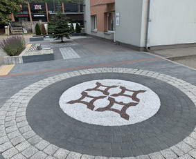 Trinkelių, fasadų, stogų ir kitų kiemo paviršių valymas / MB “Inrija” / Darbų pavyzdys ID 2667371