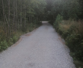 Bobcat/ Račiokas/ Juodžemis/ smelis/ žvyras. / MB RAUSTA / Darbų pavyzdys ID 2668893