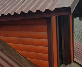 Stogo keitimas, sieneliu apkalimas mediena