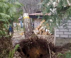 Postatybinis valymas ir kiti valymai / GRIOVEJAS / Darbų pavyzdys ID 2672541