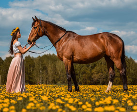 Nuotykiai su objektyvu / Gytis Kavaliauskas / Darbų pavyzdys ID 2680161