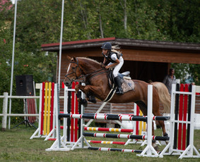 Nuotykiai su objektyvu / Gytis Kavaliauskas / Darbų pavyzdys ID 2680299