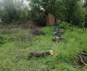 Visi griovimo-kasimo,išvežimo darbai / Tomas / Darbų pavyzdys ID 2680371