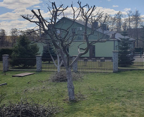 Medžių genėjimas, Medžių pjiovimas / Alytaus medkirtys / Darbų pavyzdys ID 2687921