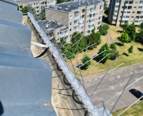 Profesionalios aukštalipių paslaugos / MB Besas / Darbų pavyzdys ID 2688311
