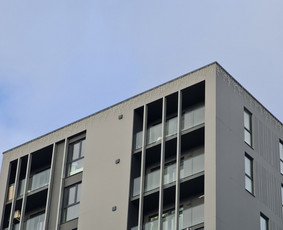 Profesionalios aukštalipių paslaugos / MB Besas / Darbų pavyzdys ID 2688345