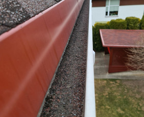 Stogų ir lietvamzdžių valymas - Profesionalios aukštalipių paslaugos - 3