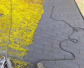 Stogų valymas ir priežiūra - Profesionalios aukštalipių paslaugos - 4