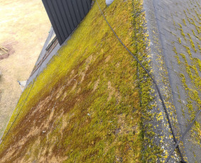 Stogų valymas ir priežiūra - Profesionalios aukštalipių paslaugos - 3