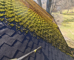 Stogų valymas ir priežiūra - Profesionalios aukštalipių paslaugos - 2