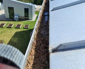 Stogų ir lietvamzdžių valymas - Profesionalios aukštalipių paslaugos - 1