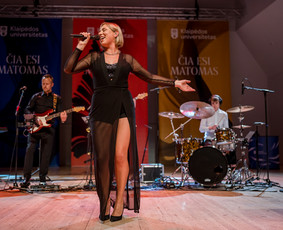 Grupė - Instrumentinė muzika renginiams - 2 Instrumentinė muzika renginiams - Grupė - 2