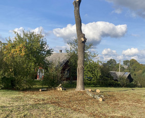 Arboristo Paslaugos.avarinių medžių pjovimas-aplinkos darbai / Rolandas Surdokas / Darbų pavyzdys ID 2691807