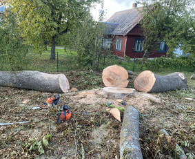 Arboristo Paslaugos.avarinių medžių pjovimas-aplinkos darbai / Rolandas Surdokas / Darbų pavyzdys ID 2691811