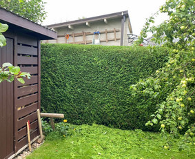 Arboristo Paslaugos.avarinių medžių pjovimas-aplinkos darbai / Rolandas Surdokas / Darbų pavyzdys ID 2691819